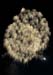 2009-07-04_21-09-55_#10007
